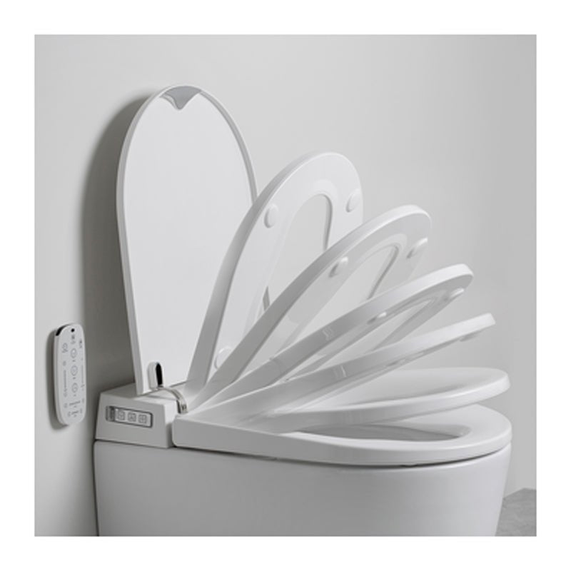 Argent Evo Wall Hung Smart Toilet Package Includes Grace Brushed Gold Button - Cass Brothers