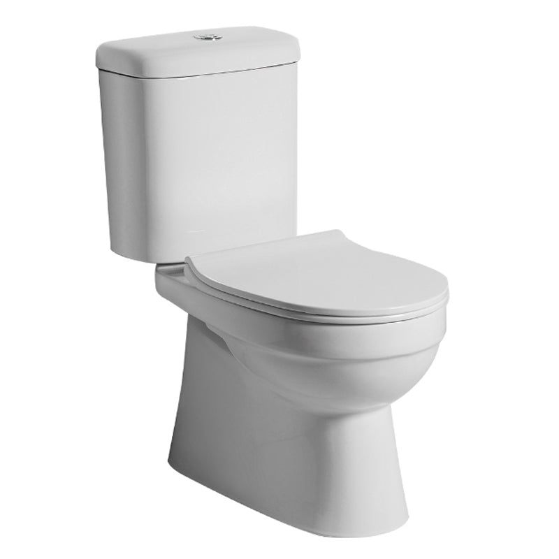 Argent Pace Hygienic Flush Close Coupled Toilet - P Trap, Rear Entry - Cass Brothers