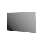 Parisi Evo 1000 Mirror Storage Cabinet