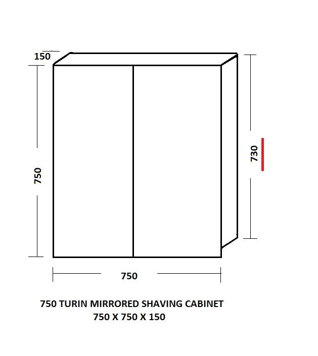 Ledin Turin 750 Mirror Wall Cabinet