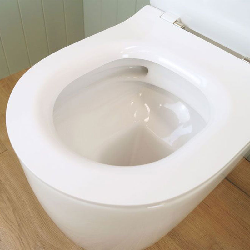 Turner Hastings Narva Rimless Wall Faced Toilet with Soft Close Quick Release Thick Toilet Seat