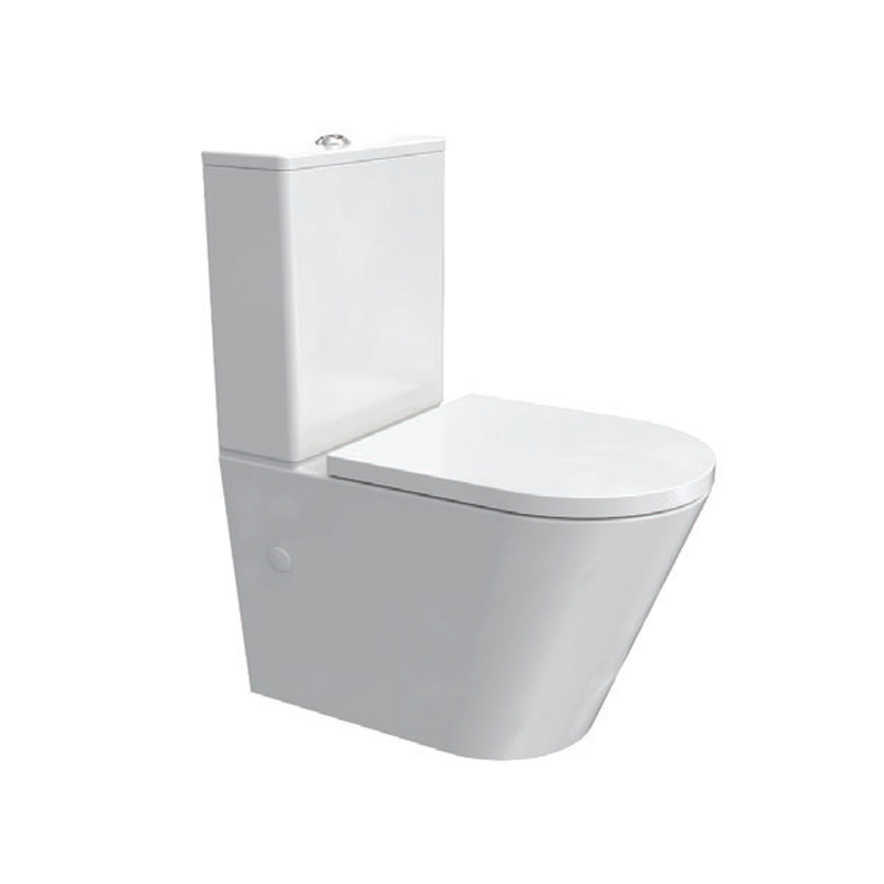 Parisi Linfa Rimless Back to Wall Suite with S/Close Seat