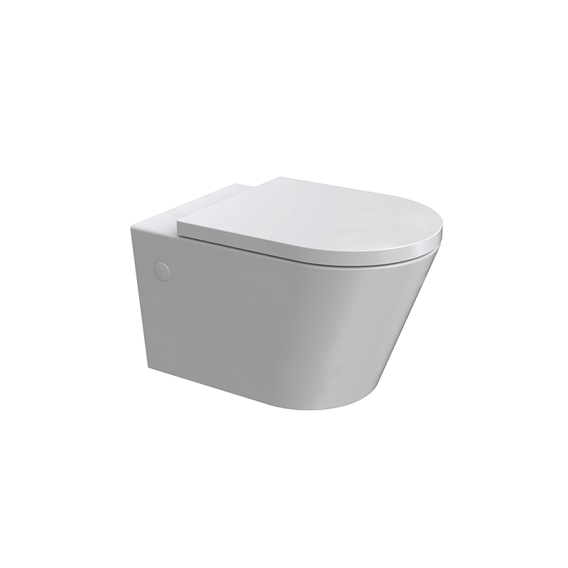 Parisi Linfa Rimless Wall Hung Toilet with S/Close Seat