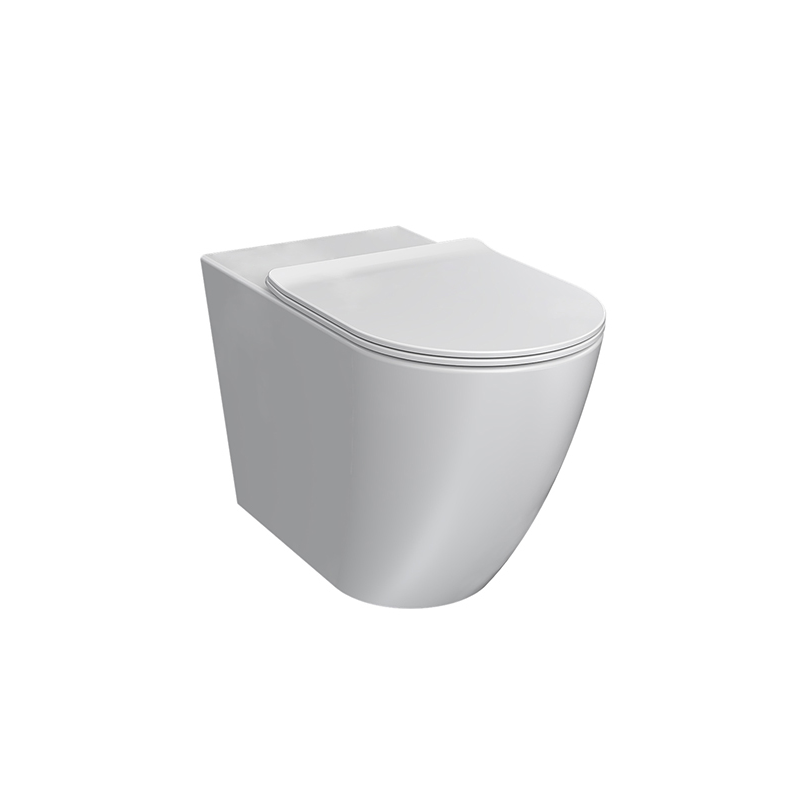 Parisi Ellisse MK II Ambulant Wall Faced Rimless Pan with S/Close Seat
