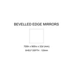 Rifco Cube T2 Mirror-900mm Spec