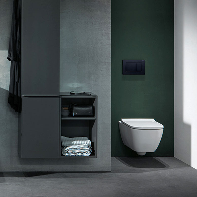 Geberit Sigma 30 Flush Button