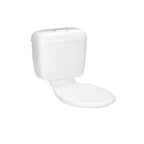 Caroma Tasman Cistern Link and Seat