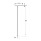 Phoenix Tapware Vivid Ceiling Arm 300mm Specification