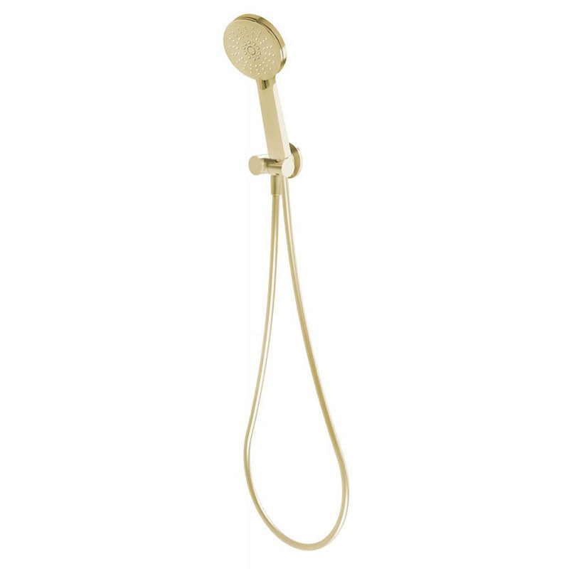 Phoenix Vivid Hand Shower - Brushed Gold