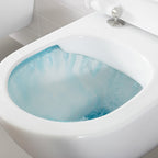 Villeroy & Boch DirectFlushTechnology