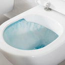 Villeroy & Boch DirectFlushTechnology